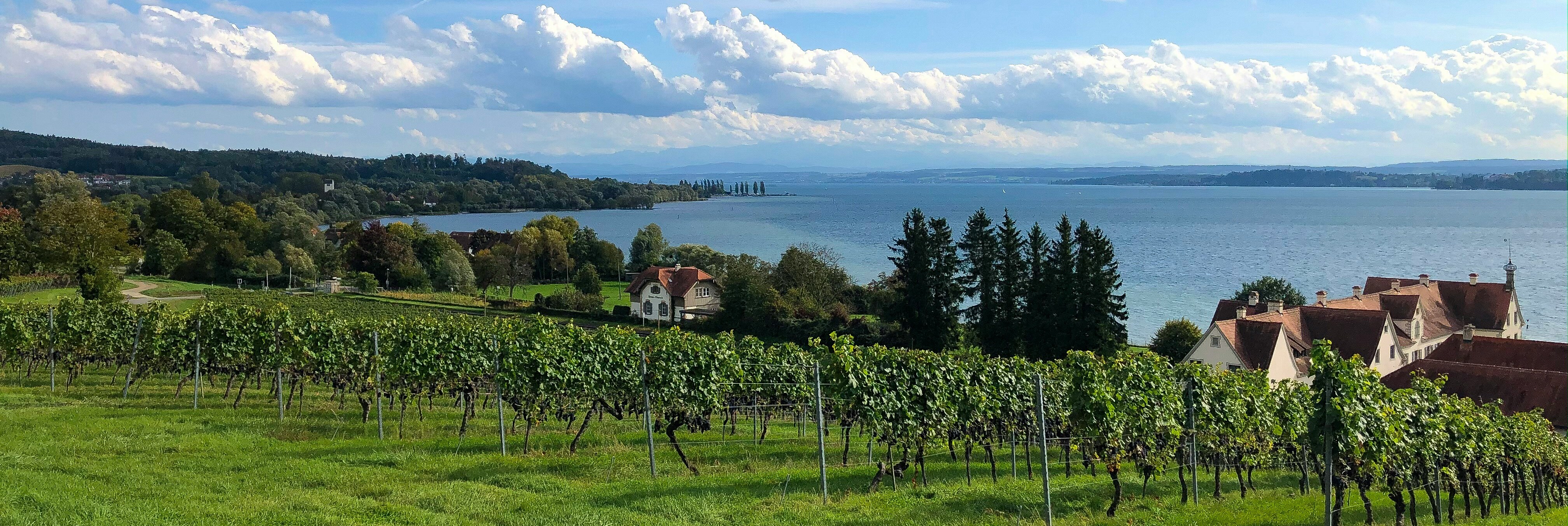 Blick auf den Bodensee